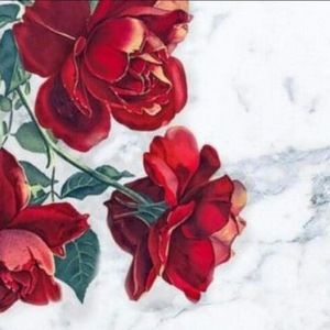 Meet your Posher, Christian